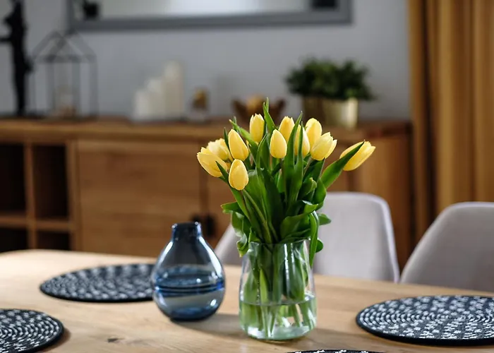 아파트 Spacerowa Lux *